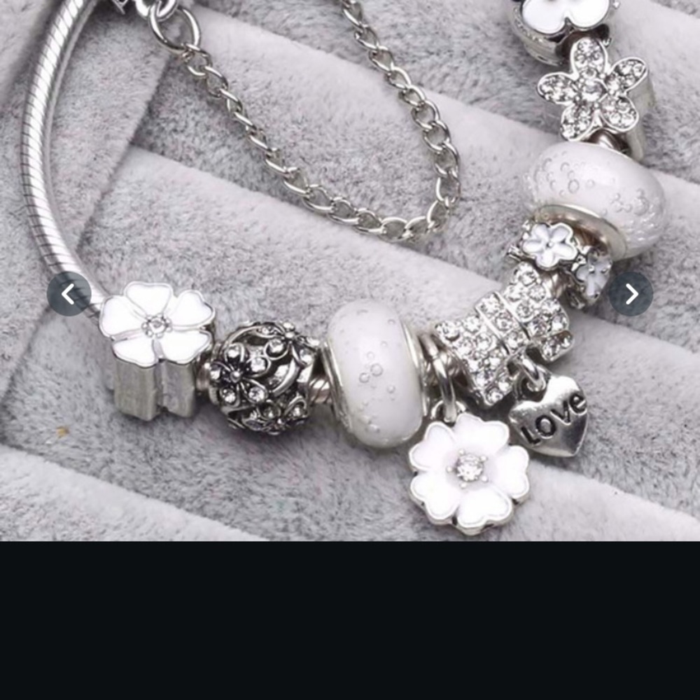 925 Sterling silver charms &bracelets